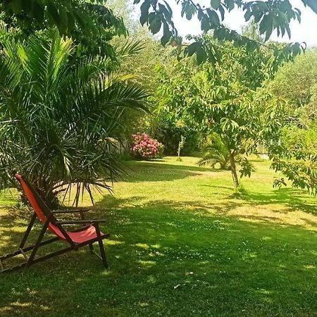 Appartement En Bord De Mer 40 M2, 2 Personnes Etables-sur-Mer Ngoại thất bức ảnh